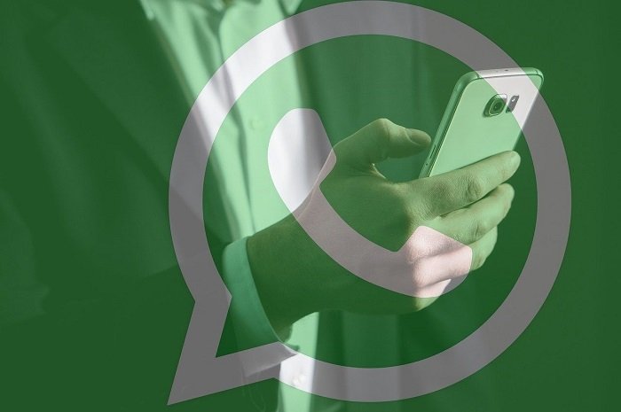 How to See Who Viewed Your WhatsApp Profile